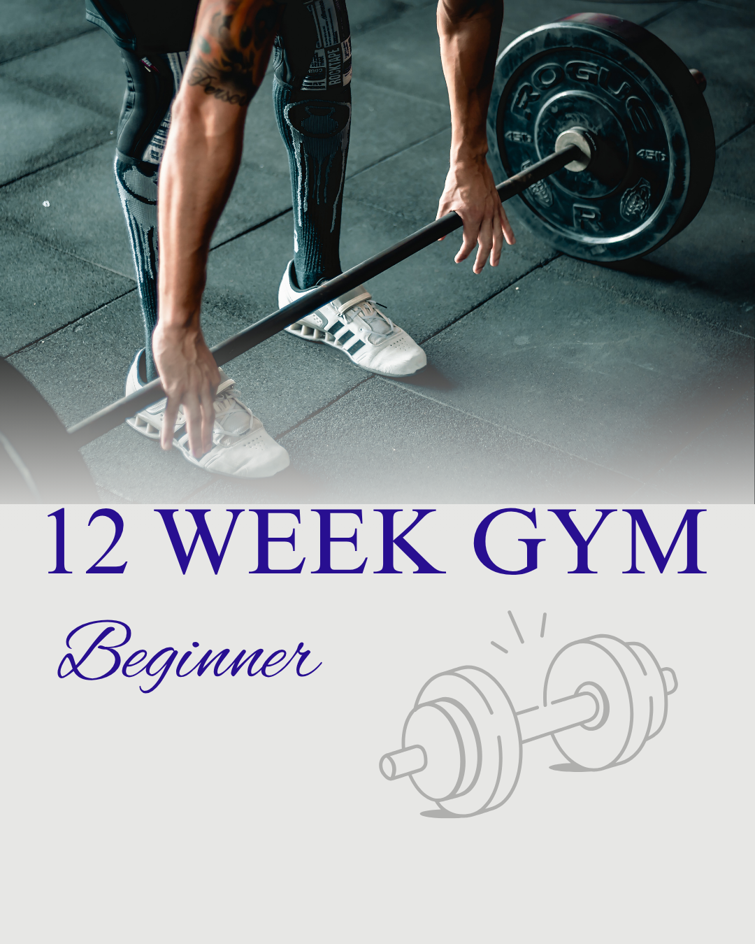 12-Week Gym Programme for Beginners